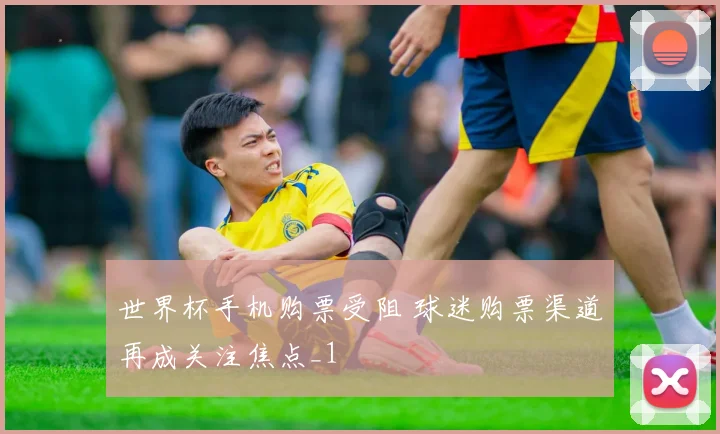 世界杯手机购票受阻 球迷购票渠道再成关注焦点_1