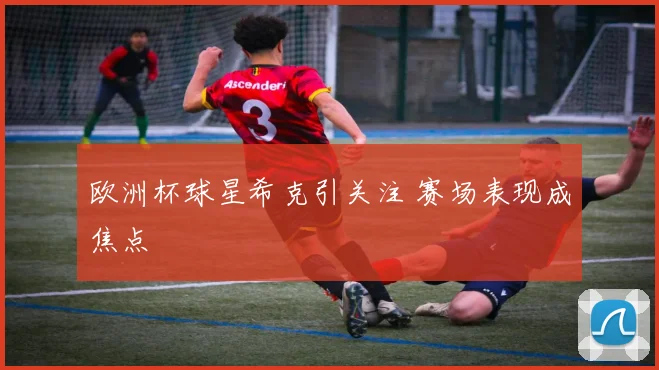 欧洲杯球星希克引关注 赛场表现成焦点