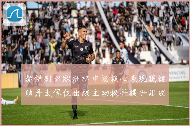 赫伊别尔欧洲杯中场核心表现稳健助丹麦保住出线主动权并提升进攻组织